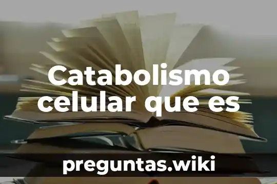 Catabolismo celular que es