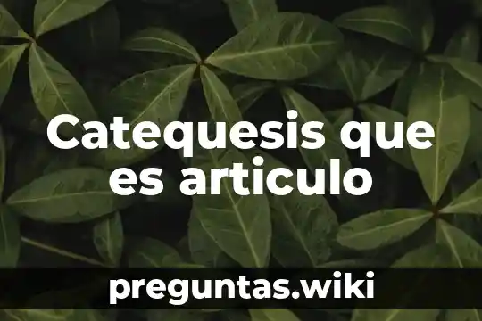 Catequesis que es articulo