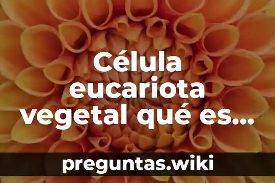 Célula eucariota vegetal qué es estructura y funciones