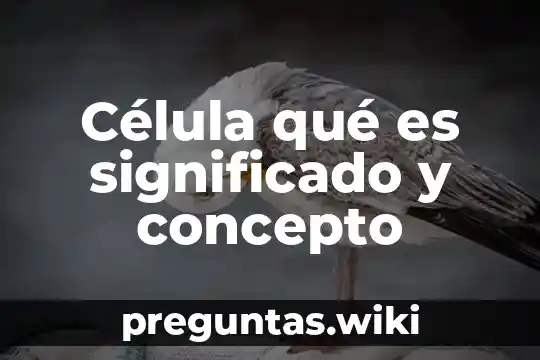 Célula qué es significado y concepto