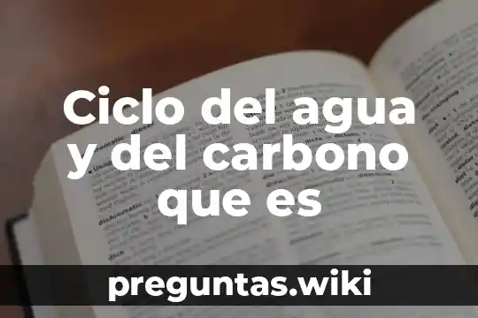 Ciclo del agua y del carbono que es
