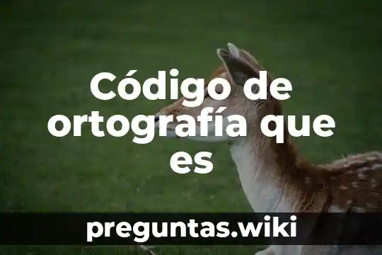 Código de ortografía que es
