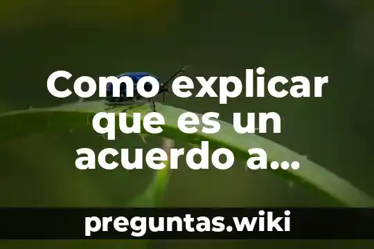 Como explicar que es un acuerdo a niños de preescolar