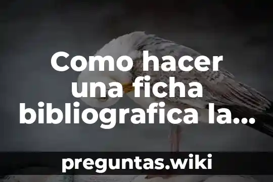 Como hacer una ficha bibliografica la partes que es editoria