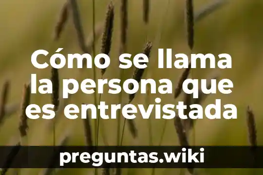 Cómo se llama la persona que es entrevistada
