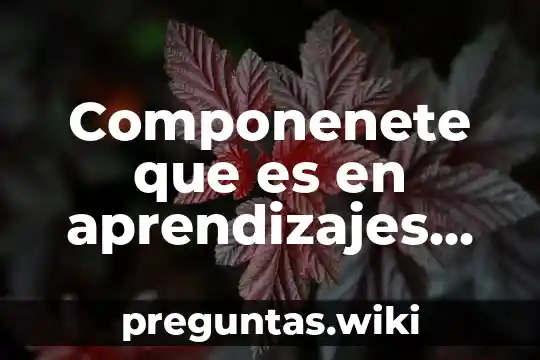 Componenete que es en aprendizajes clave