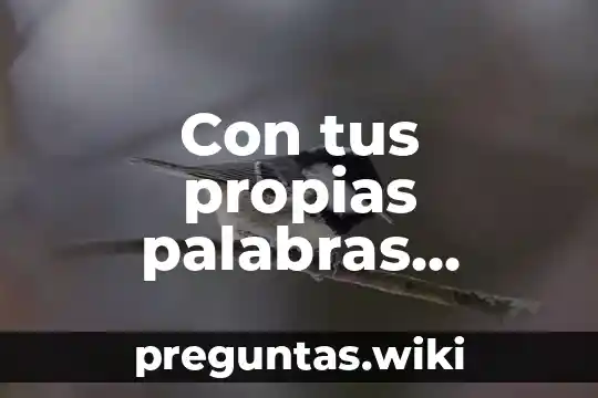 Con tus propias palabras explica que es estado