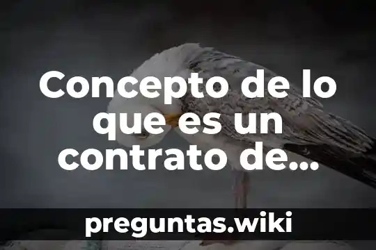 Concepto de lo que es un contrato de caracter civil