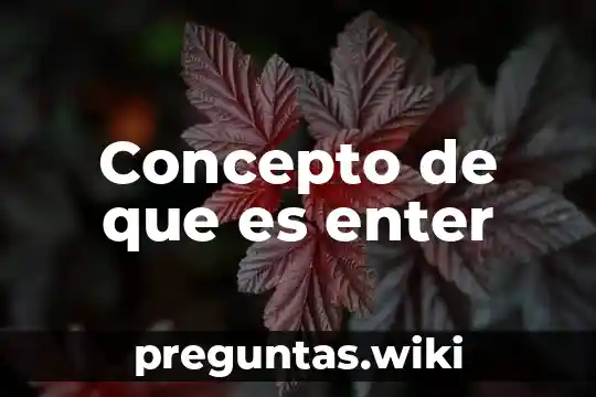 Concepto de que es enter