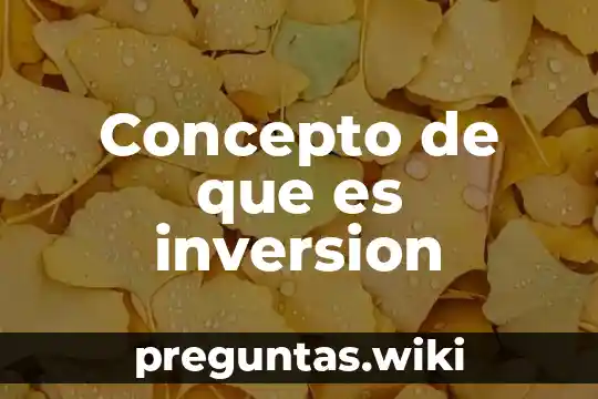 Concepto de que es inversion