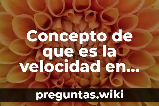 Concepto de que es la velocidad en fisica