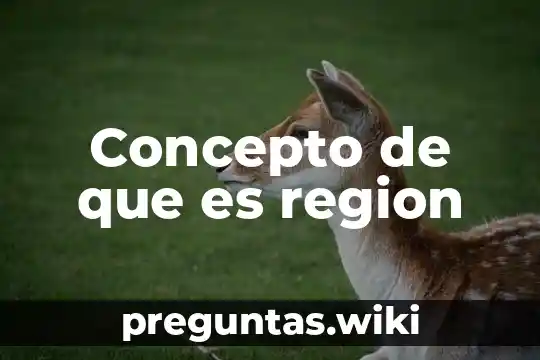 Concepto de que es region