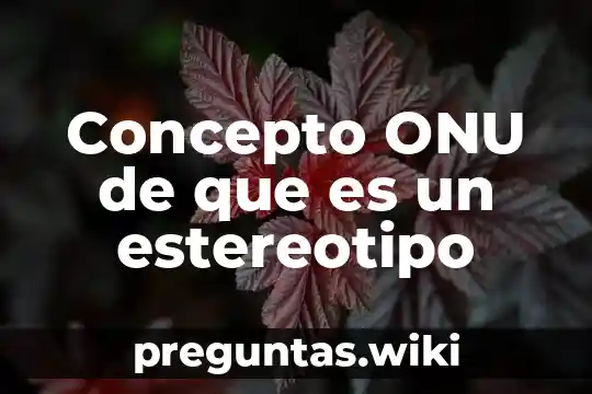 Concepto ONU de que es un estereotipo
