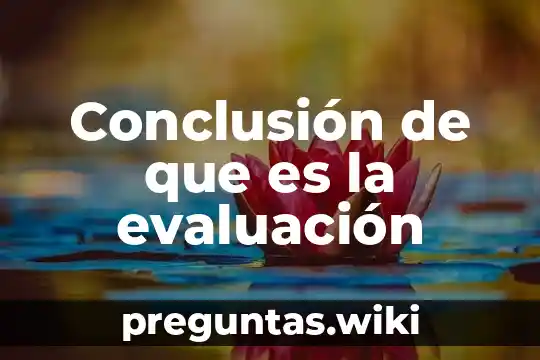 Conclusión de que es la evaluación