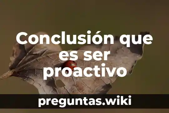 Conclusión que es ser proactivo