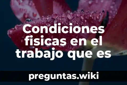 Condiciones fisicas en el trabajo que es