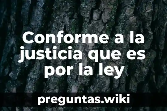 Conforme a la justicia que es por la ley
