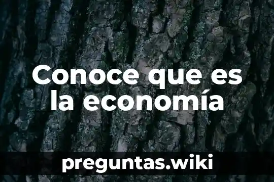 Conoce que es la economía