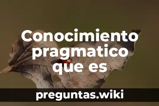 Conocimiento pragmatico que es