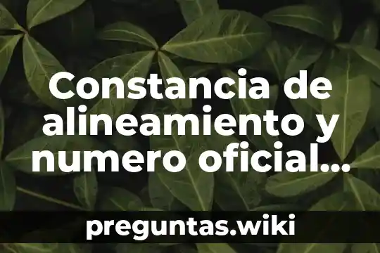 Constancia de alineamiento y numero oficial que es