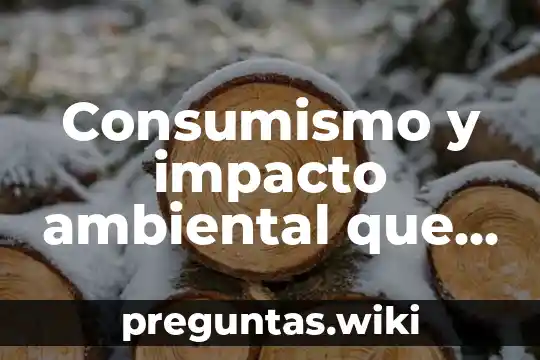 Consumismo y impacto ambiental que es