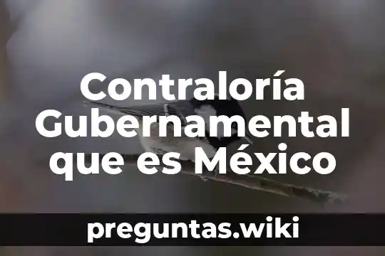 Contraloría Gubernamental que es México