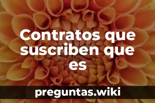 Contratos que suscriben que es