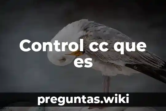 Control cc que es