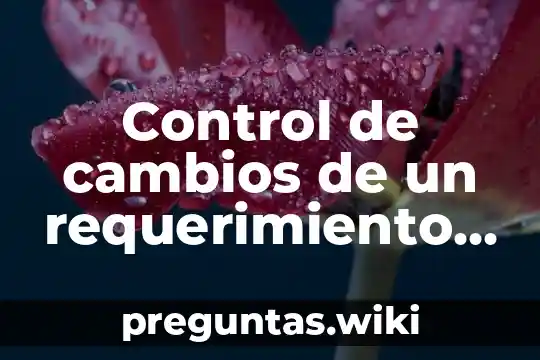 Control de cambios de un requerimiento que es
