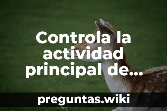 Controla la actividad principal de una computadora que es