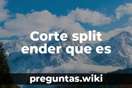 Corte split ender que es