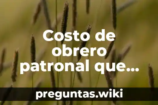 Costo de obrero patronal que es