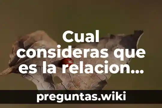 Cual consideras que es la relacion entre derecho y est