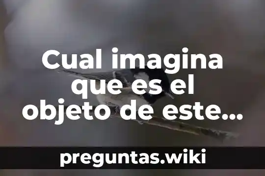 Cual imagina que es el objeto de este tipo de mensaje