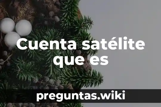 Cuenta satélite que es