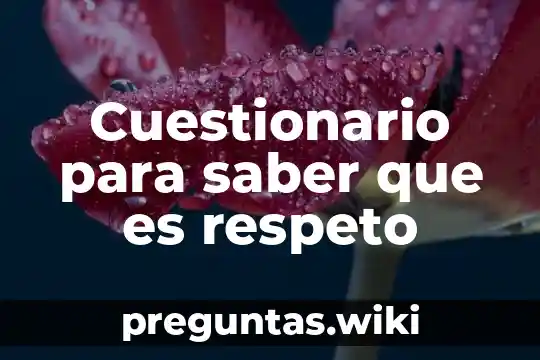 Cuestionario para saber que es respeto