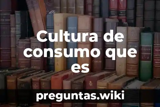 Cultura de consumo que es