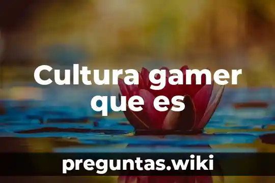 Cultura gamer que es