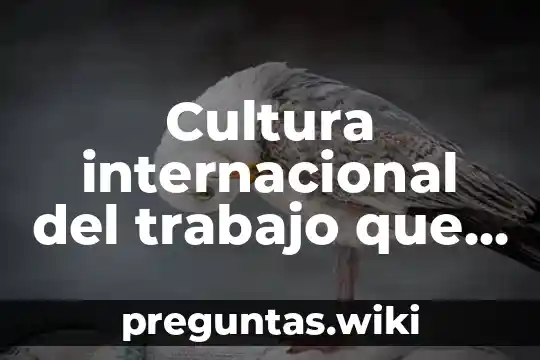 Cultura internacional del trabajo que es