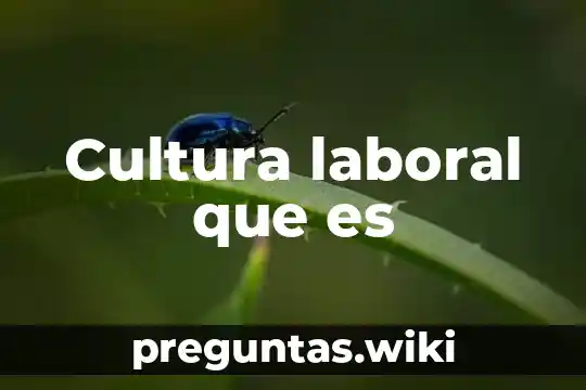 Cultura laboral que es