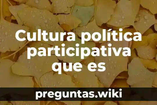 Cultura política participativa que es