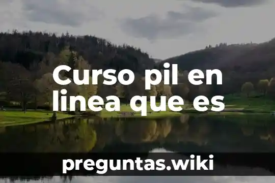 Curso pil en linea que es