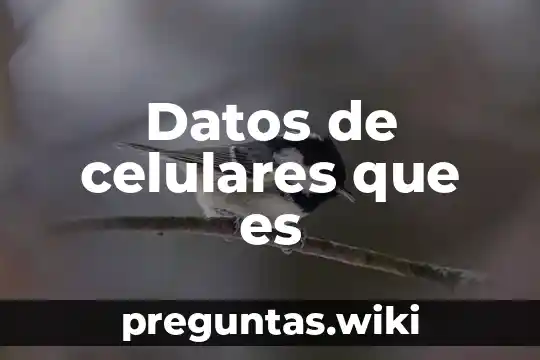 Datos de celulares que es