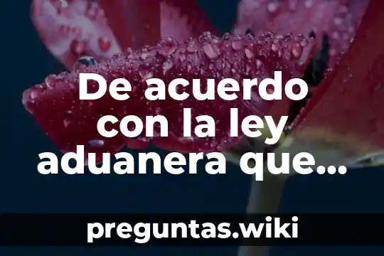 De acuerdo con la ley aduanera que es transparente
