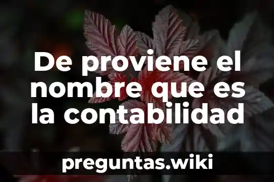 De proviene el nombre que es la contabilidad