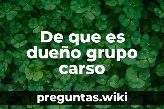 De que es dueño grupo carso