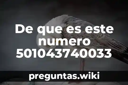 De que es este numero 501043740033