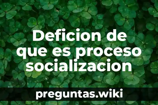 Deficion de que es proceso socializacion