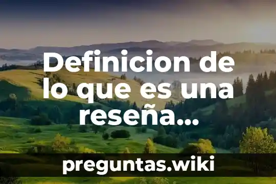 Definicion de lo que es una reseña organizacional