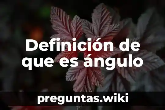 Definición de que es ángulo